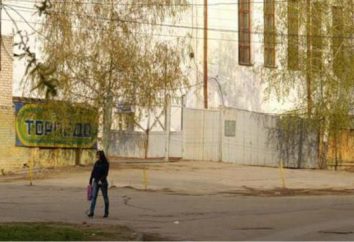 Estadio "Torpedo" (Samara): el pasado y el futuro de las instalaciones deportivas