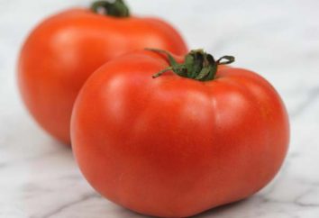 Pomidory Percy charakterystyczne cechy odmiany i uprawa