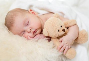 ¿Por qué meses de edad bebé no duerme todo el día?