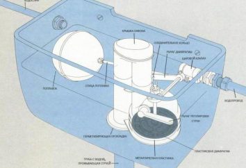 Cistern ne tient pas: ce qu'il faut faire pour résoudre le problème