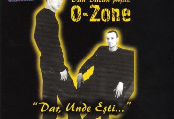 banda moldavo Ozon: la storia della creazione, la struttura e la causa del crollo