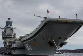 TAVKR "Admiral Kuznetsov": struttura e prospettive