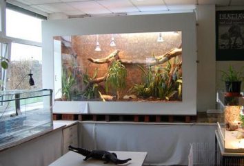 Comment les Aquaterrarium pour la tortue krasnouhih avec ses propres mains