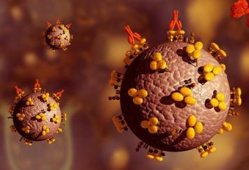 vaccino contro l'HIV. Esiste un vaccino contro l'HIV?