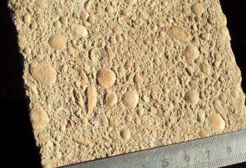 Co to jest beton Geopolimer?
