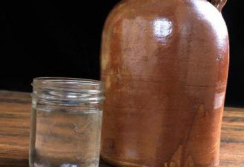 Moonshine para Iniciantes: Equipamento, receitas, tecnologia