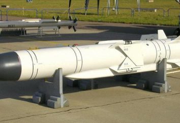 Anti-ship missile X-35: caratteristiche tecniche e applicazioni