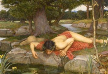 Il mito di Narciso: sintesi e significato nascosto