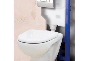 Instalacja toalet: jak zainstalować wiszące toalety?