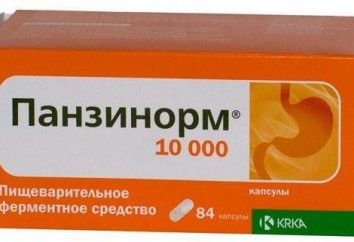 Il farmaco "Panzinorm 10000": istruzioni per l'uso, descrizione, composizione, analoghi, prezzo