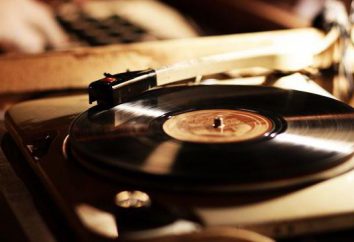 Wie ein Spieler für Vinyl-Schallplatten wählen?
