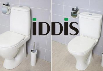 Toalety Iddis – europejskie technologie i wysokiej jakości