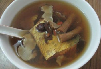 Zupa węgorza – od klasycznych po egzotyczne