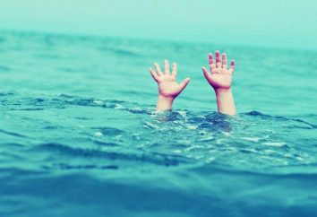 Por que sonhar com afogamento criança? livro de interpretações de sonho