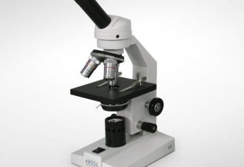 Jak narysować mikroskop w ołówku w etapach