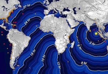 Tsunami nel 2004, l'Oceano Indiano. Terremoto e maremoto dell'Oceano Indiano del 2004