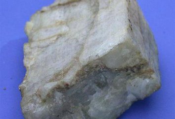 Les principaux minéraux des roches