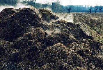 En Russie introduit une taxe sur les engrais