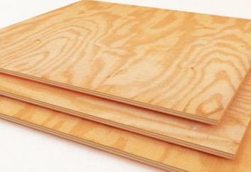 Plywood FC: O que é este material. Vantagens e desvantagens, o alcance e as características do