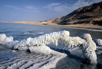 Mar Morto: riposo e il trattamento in una posizione unica