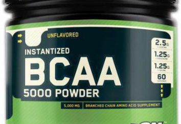 Optimum Nutrition BCAA 5000 Powder: vantaggi e recensioni