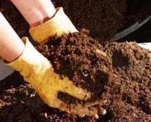 Humus – il miglior fertilizzante per il vostro giardino