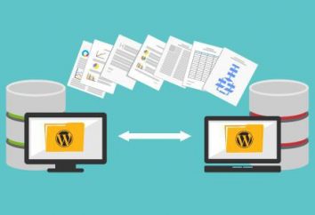il trasferimento ad un altro WordPress di hosting: caratteristiche, procedure