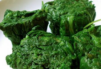 Spinat – ist nicht nur nützlich, sondern auch köstlich! Salate mit Spinat
