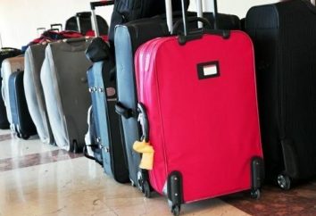 Vous partez en voyage, ne pas oublier d'apprendre comment choisir une valise à roulettes