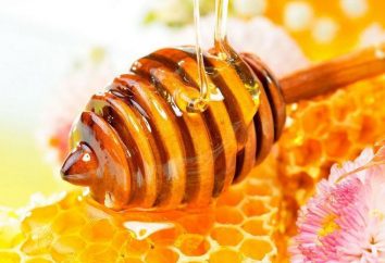 le stockage du miel dans la maison: les règles de base