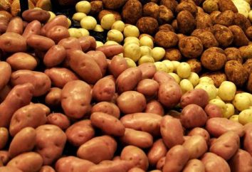 Le migliori varietà di patate per la coltivazione. le varietà precoci di patate. Le più gustose varietà di patate