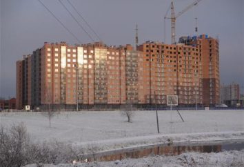 Novas veias complexo em St. Petersburg – "Ladoga Park."