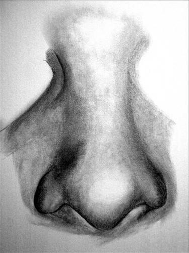 Come Disegnare Il Naso Con Una Matita