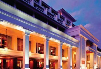 Hotel Dusit D2 Resort Phuket: opis hotelu i opinie