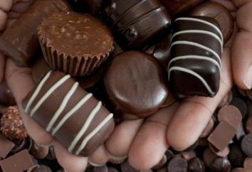 Fatos interessantes sobre chocolate. Segredos de produção de chocolate. feriado de chocolate