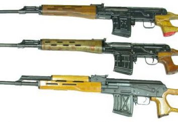 "Tiger" rifle sniper. "Tiger" (rifle): preço, características