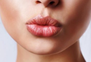baume pour les lèvres Carmex: une baguette magique dans les situations d'urgence