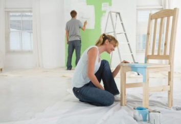 Pintura de móveis. Com que critérios para escolhê-lo?