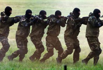 Les sociétés militaires privées en Russie: liste. La loi sur les sociétés militaires privées en Russie