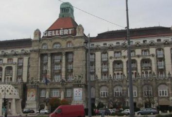 Gellert Kąpiele w Budapeszcie: opis, historia, cechy i opinii odwiedzane