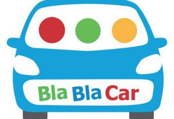 ¿Qué es "Bla, bla coche"?