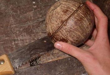 Artikel der Kokosnuss mit seinen eigenen Händen gemacht