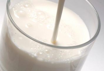 Los cuales la vitamina en la leche y cómo es útil?