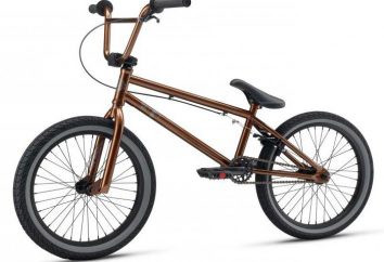 Bicicleta "BMX": características de design, fotos, truques