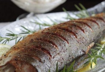 Come cucinare un salmone succosa rosa nel forno: un passo per passo la ricetta