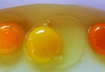 Dlaczego kury znoszą jaja bez powłoki? Co do karmienia kur niosek w domu