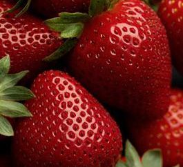 Shelf Strawberry: Beschreibung der Sorte und wächst
