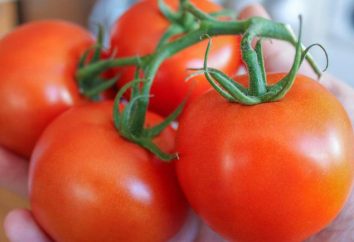 Kilka wskazówek, jak zachować pomidory świeże przez długi czas
