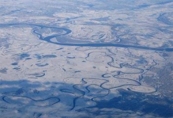 The West Siberian Plain: przyroda, klimat i inne informacje