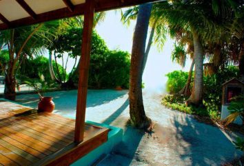 Albergo Canareef Resort Maldives 4 * (Maldive / Addu Atoll): recensioni, descrizioni, numeri e recensioni